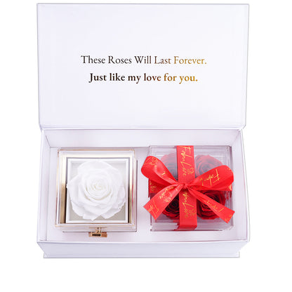 Eternal Rose Box Bundle